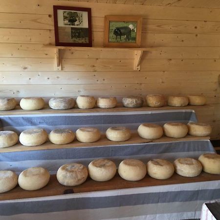 Maison De Campagne Sarragia Eksteriør billede
