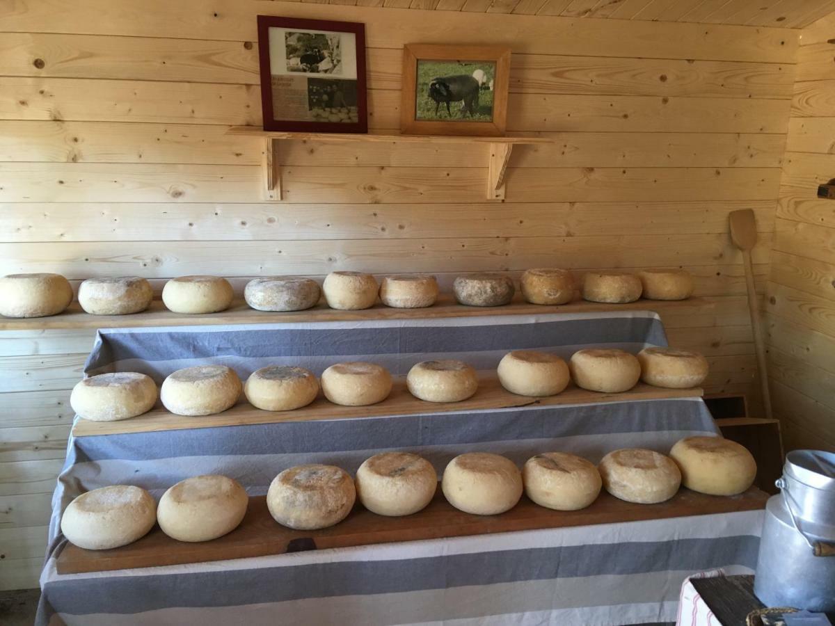 Maison De Campagne Sarragia Eksteriør billede